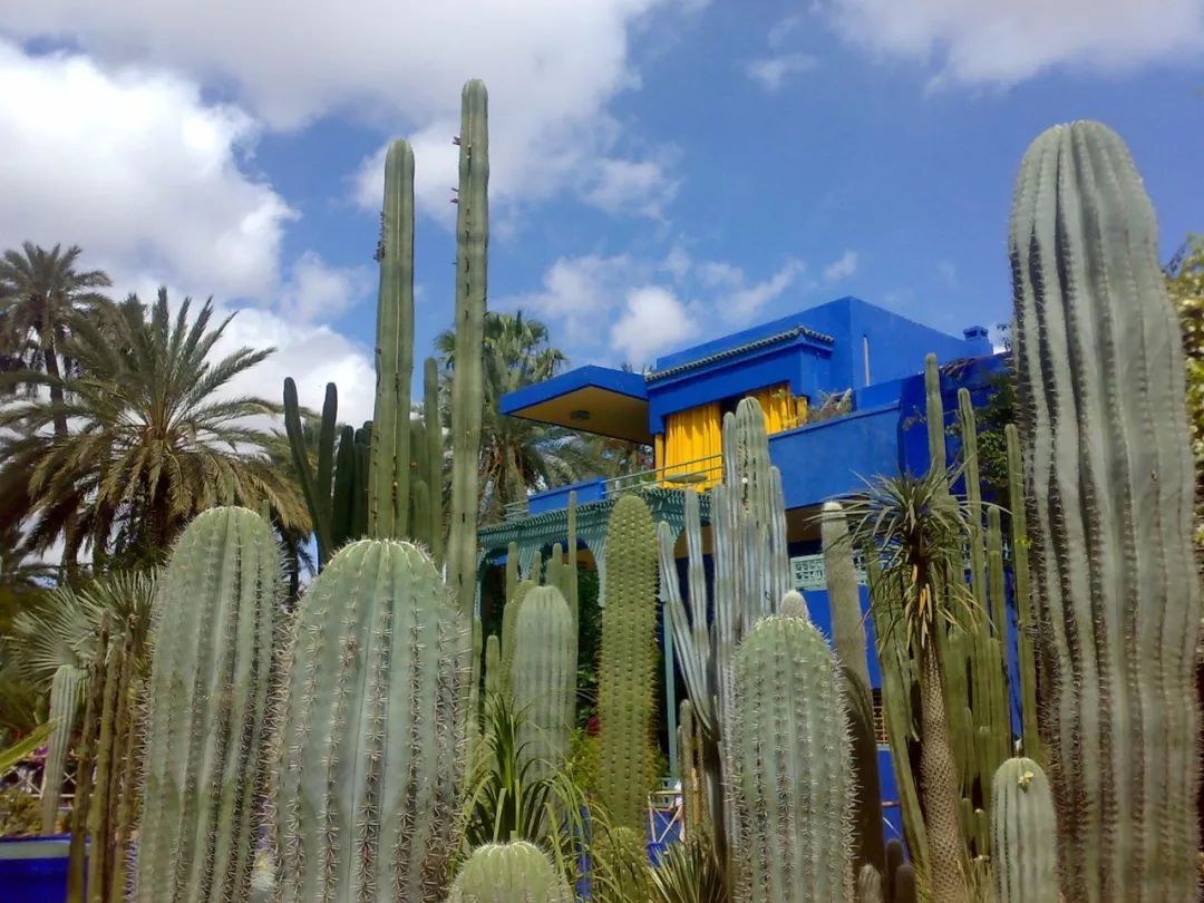 这座最梦幻的花园，是设计天才心中的绿洲