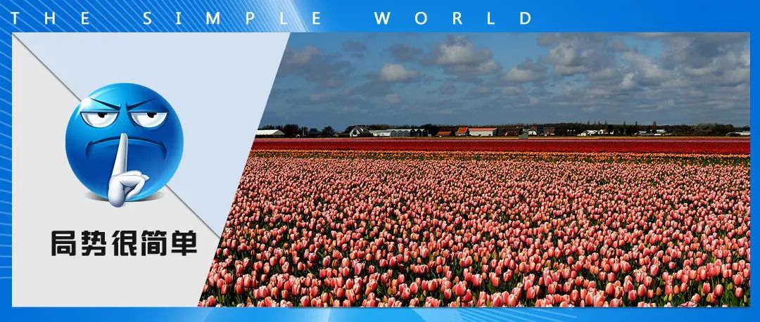 欧洲炒作郁金香,荷兰人炒作郁金香事件