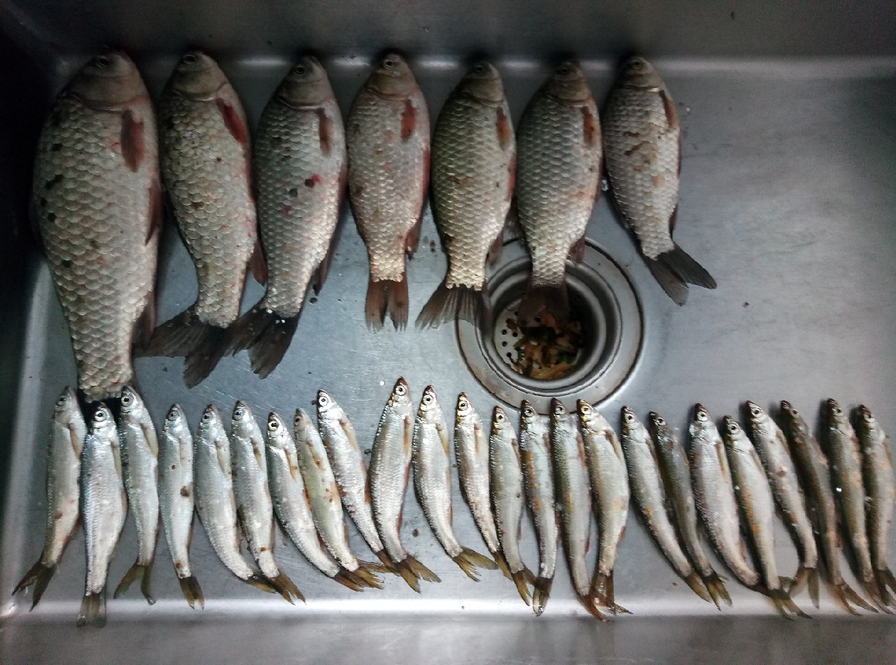 兄弟，我可能不能跟你一块钓鱼了