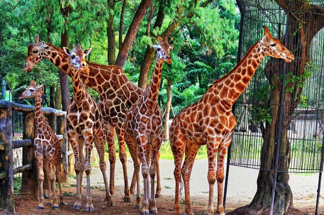 多个景区有优惠，甚至免费！国庆节假期首日广州接待近240万游客，公安提醒：别再去这些地方了