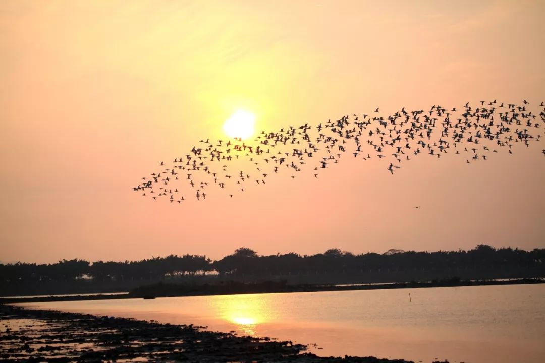 多个景区有优惠，甚至免费！国庆节假期首日广州接待近240万游客，公安提醒：别再去这些地方了
