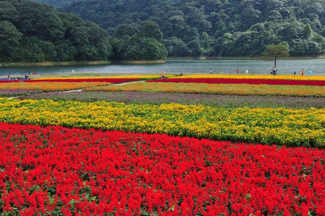 多个景区有优惠，甚至免费！国庆节假期首日广州接待近240万游客，公安提醒：别再去这些地方了