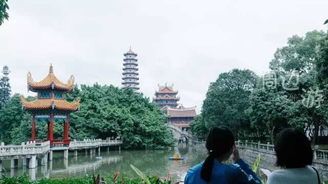 福州周边赏花自驾游,福州十大赏花好去处