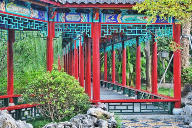 福州周边赏花自驾游,福州十大赏花好去处