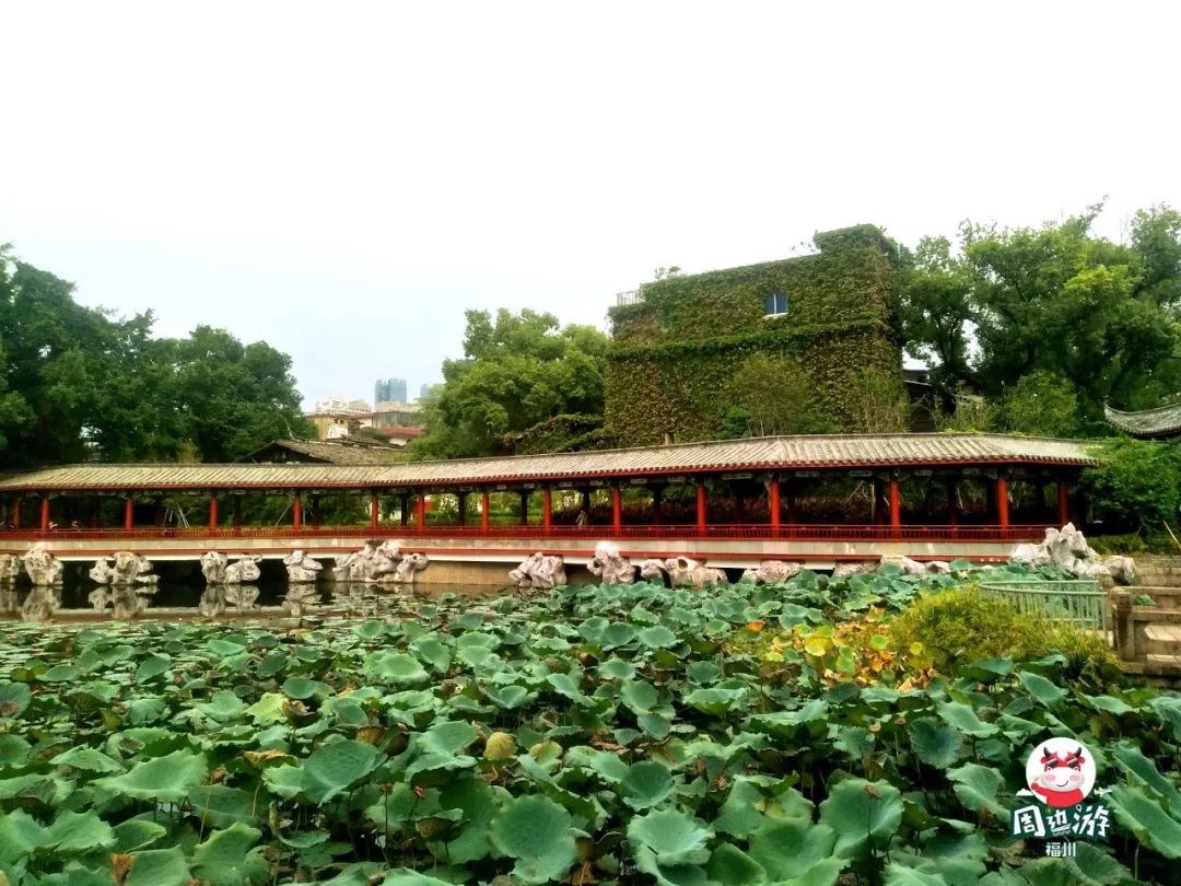 福州周边赏花自驾游,福州十大赏花好去处