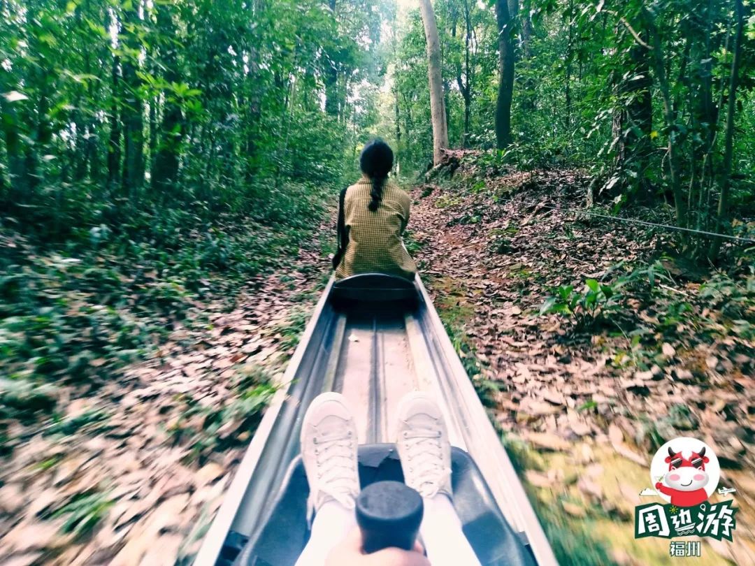 福州周边赏花自驾游,福州十大赏花好去处