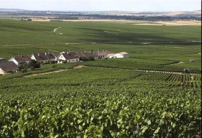 农业农村部一村一品政策支持,农业部一村一品公布10亿元