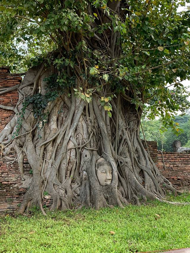 泰国曼谷普吉岛7日游,普吉岛曼谷七日游