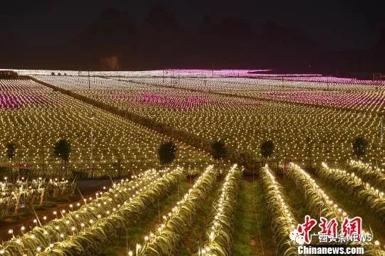 广西乡村将大变样！2022年基本实现“处处能上网、时时可上网”