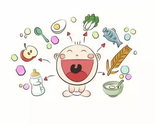 蛋白过敏宝宝辅食添加需注意什么,宝宝辅食添加全攻略