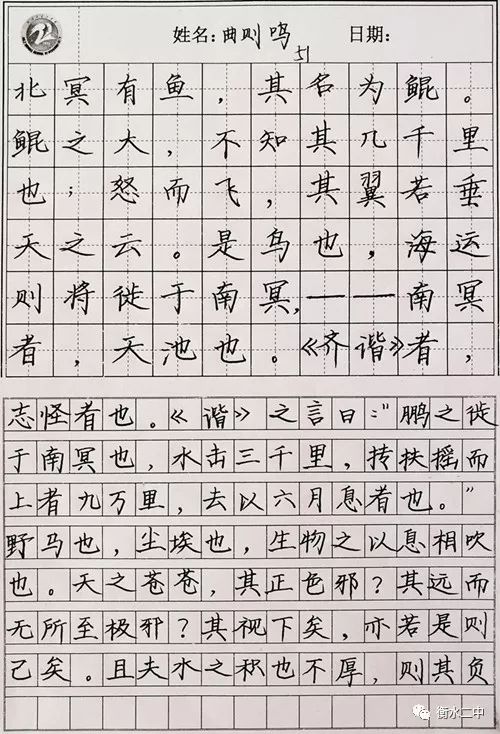 衡水体考题答题卡,衡水体答题卡效果图