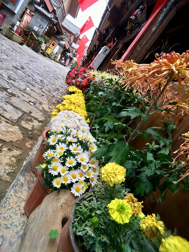 丽江大研花巷美景,丽江大研花巷旅游景点