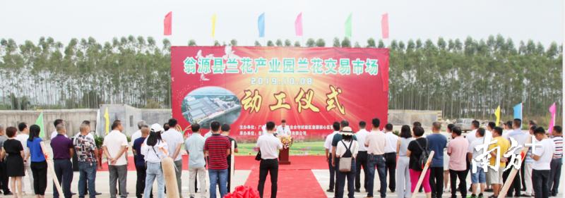 翁源打造兰花交易市场,翁源兰花市场发展规划