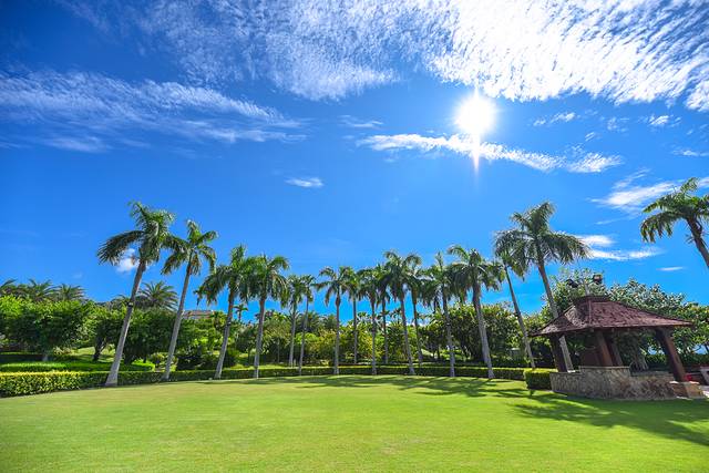 去三亚自由行美食攻略,三亚旅游美食攻略自由行路线推荐