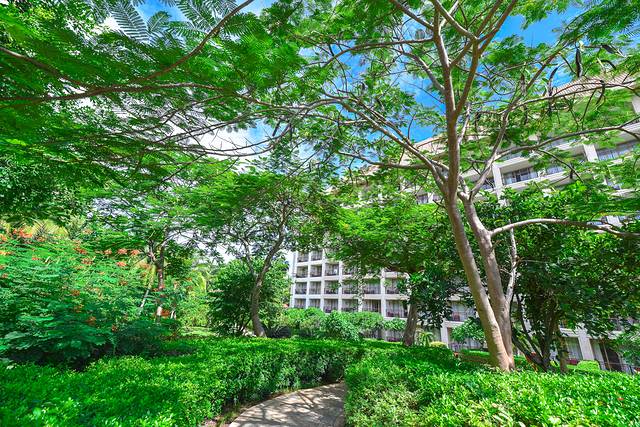 去三亚自由行美食攻略,三亚旅游美食攻略自由行路线推荐