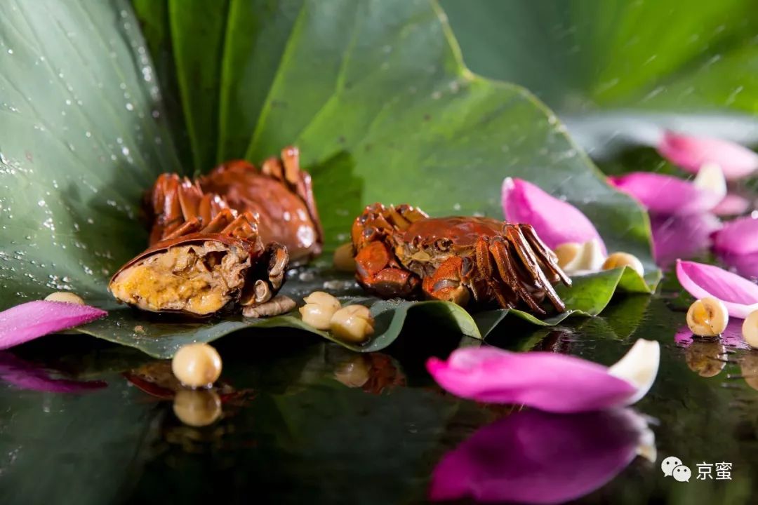 吃蟹最好吃的地方,这里有一份吃蟹全攻略等你来拿