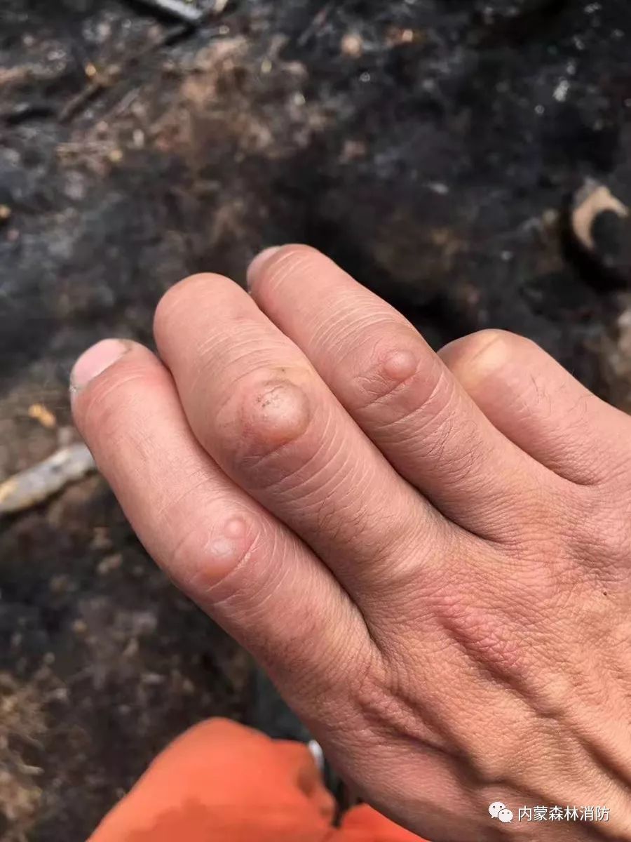 森林消防员主题教育学习心得体会,森林消防队伍如何强化使命责任感