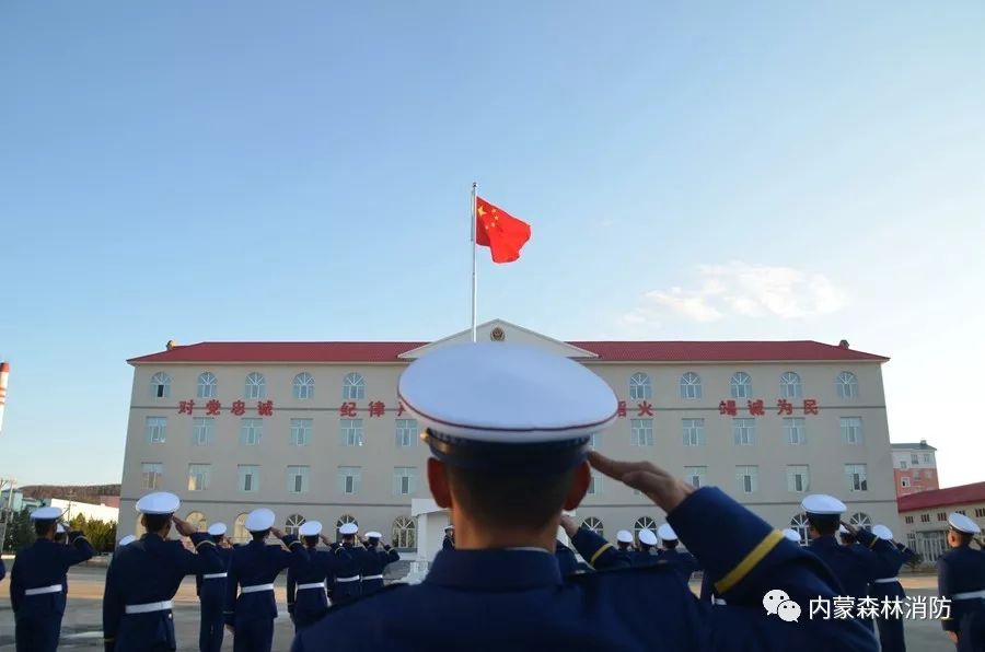 森林消防员主题教育学习心得体会,森林消防队伍如何强化使命责任感