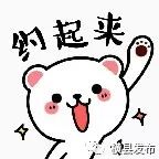 横县融媒体中心招商,横县融媒体中心近况