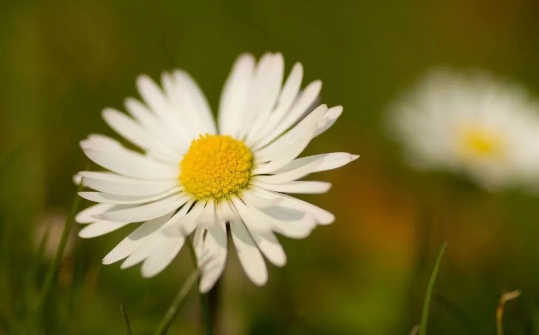 安庆有什么电商销售基地,安庆电商集中在哪里