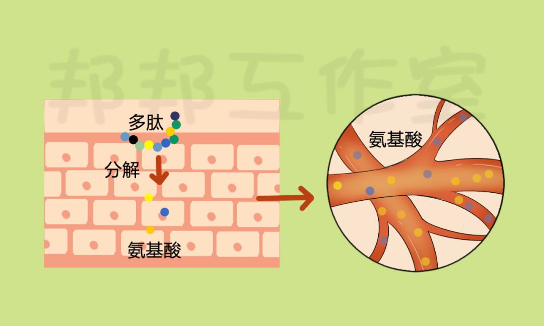 胶原蛋白和美白丸一起吃,胶原蛋白抗糖美白丸