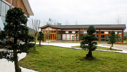 峨眉山嘉峨茶谷,峨眉嘉峨茶谷最新视频