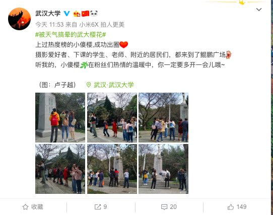 武大樱花近期视频,武大樱花今天有人去了吗