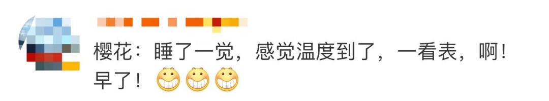 武大樱花近期视频,武大樱花今天有人去了吗