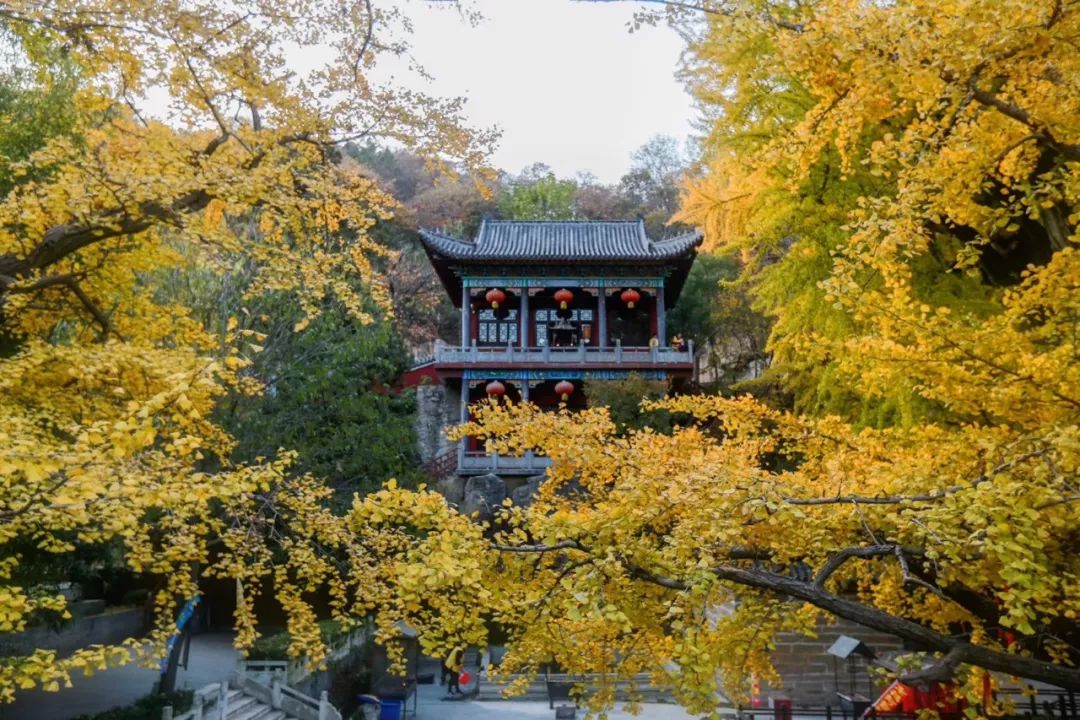 沂水活动摄影哪家好,沂水新沂蒙摄影