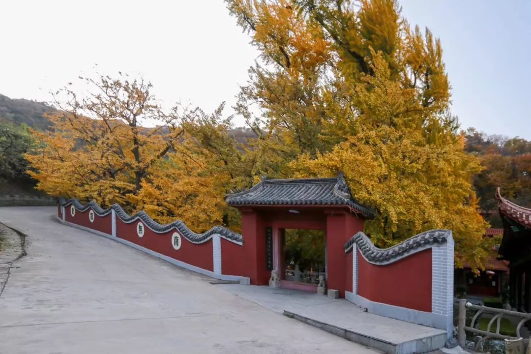 沂水活动摄影哪家好,沂水新沂蒙摄影