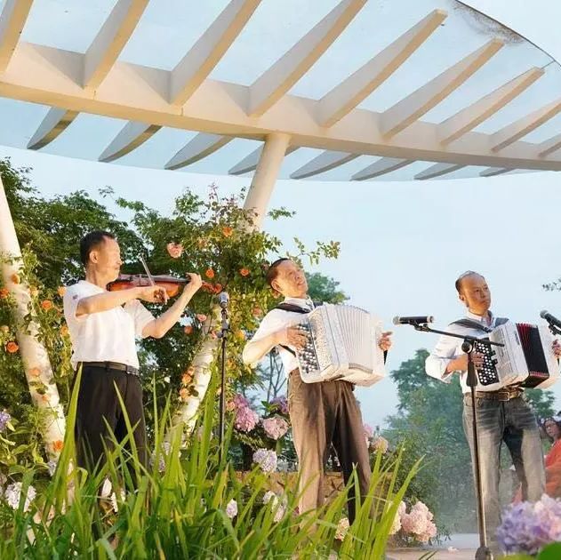 盒子世界现在是怎么了,盒子世界为什么更新了