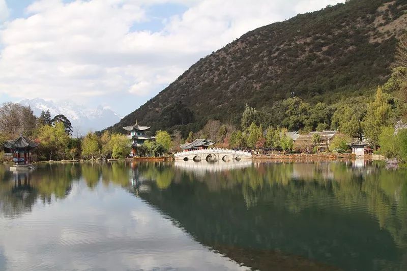 遛鸟、背水、广场舞……丽江人的柔软时光里“暗藏玄机”