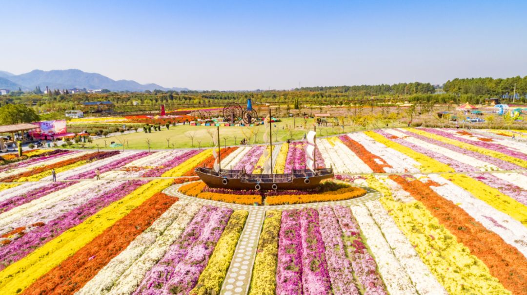 四月浙江最美花海,浙北绝美风光