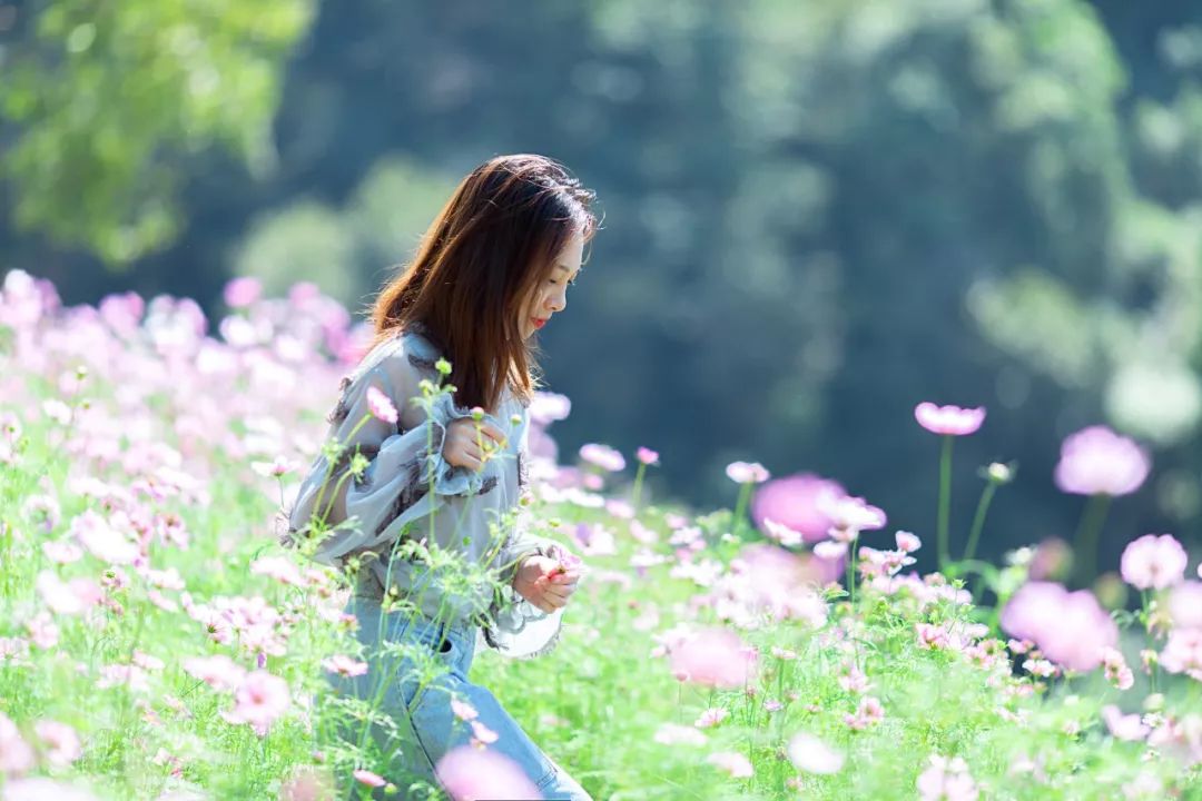 四月浙江最美花海,浙北绝美风光