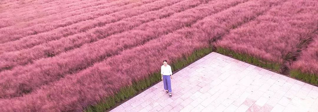 四月浙江最美花海,浙北绝美风光
