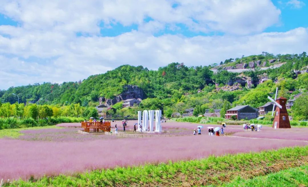 四月浙江最美花海,浙北绝美风光