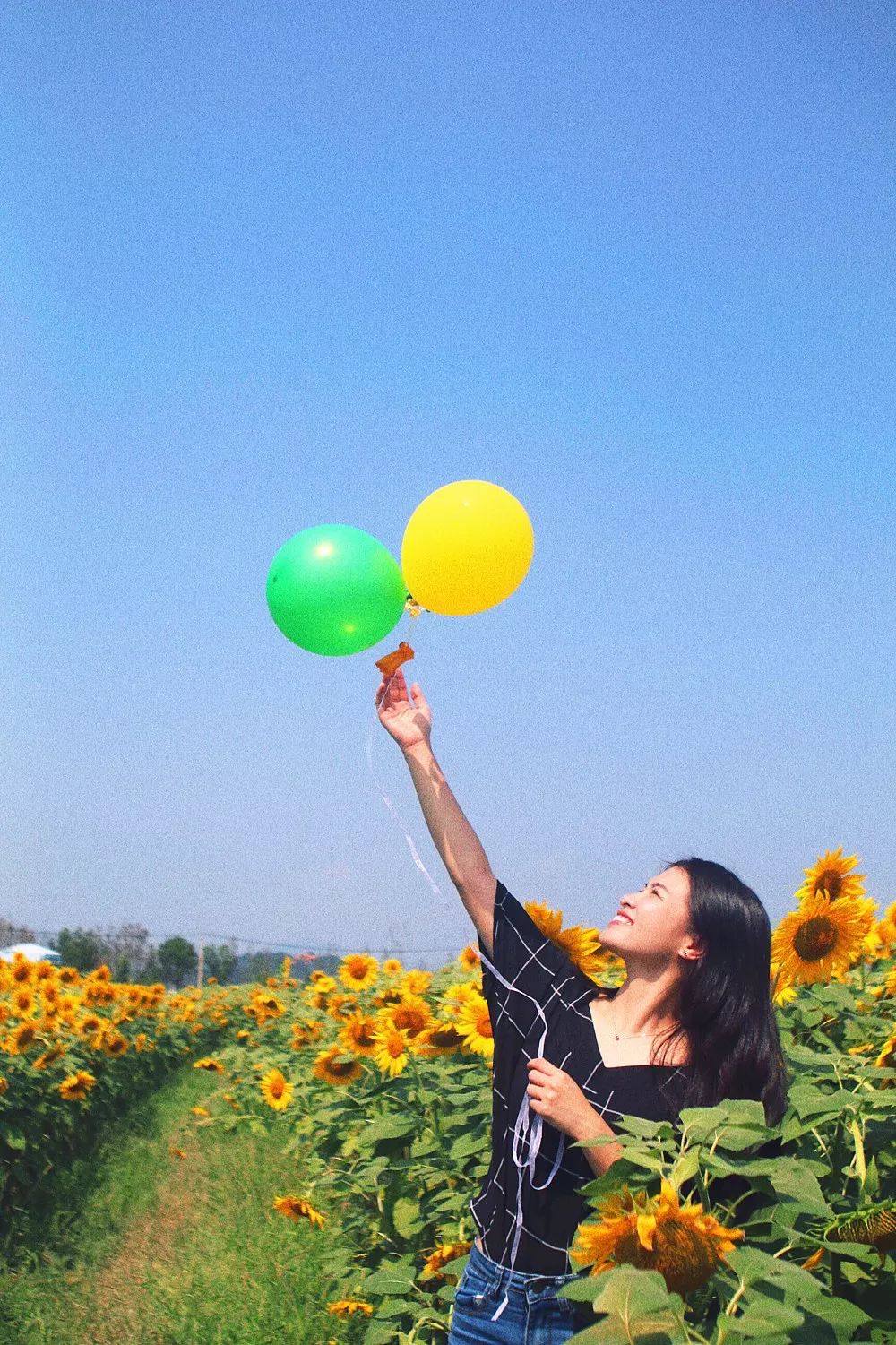 四月浙江最美花海,浙北绝美风光