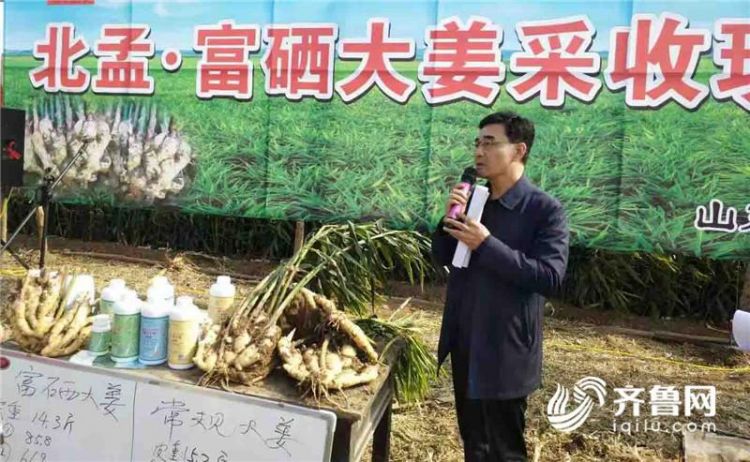 潍坊农业转型升级,潍坊农业农村规划