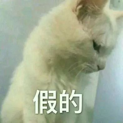 网友432元买COACH，卖家咬定是正品，他一个动作让对方封店