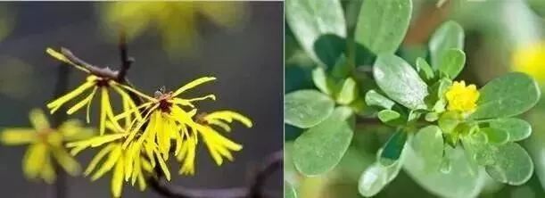 日本草莓鼻去黑头最有效的产品,byebye草莓鼻去黑头神器大揭秘