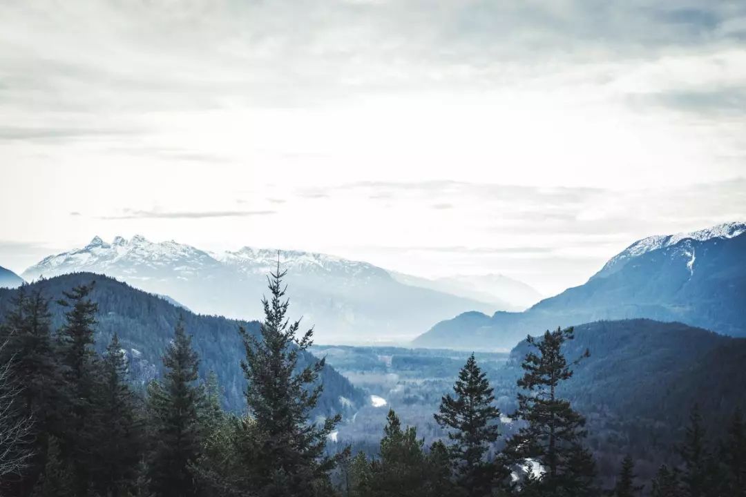 璇楄瘝涓毦璇荤殑20涓瓧,璇楄瘝涓渶甯歌100涓瓧