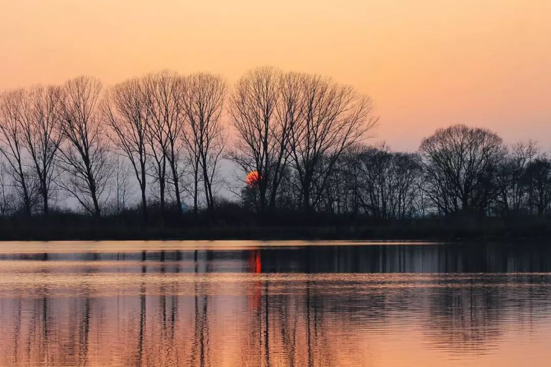 璇楄瘝涓毦璇荤殑20涓瓧,璇楄瘝涓渶甯歌100涓瓧