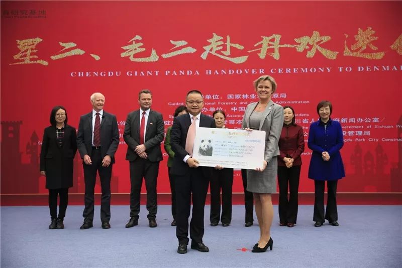 封王之路简介,大熊猫成为国宝的两个原因