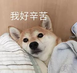 文创双十一,2019年双十一文创