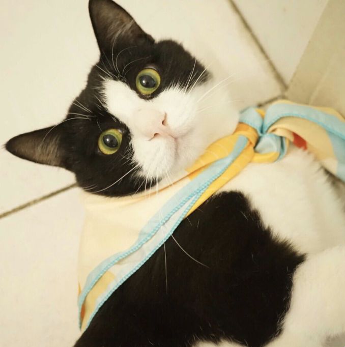 认识下广东人从小吃到大的宝藏水果，像冬季里清甜的山泉