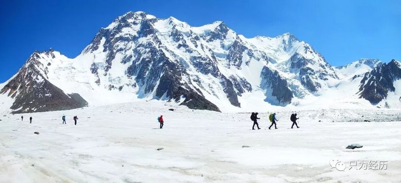 博格达雪莲花简介,雪莲花博格达