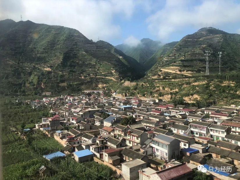 博格达雪莲花简介,雪莲花博格达