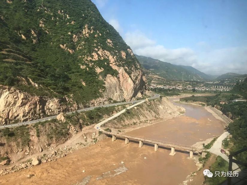 博格达雪莲花简介,雪莲花博格达