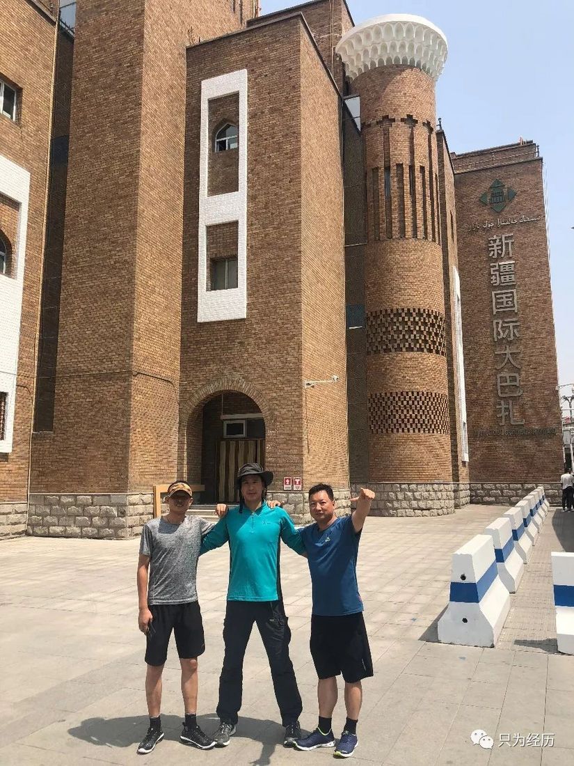 博格达雪莲花简介,雪莲花博格达