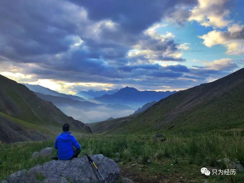 博格达雪莲花简介,雪莲花博格达